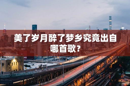 美了岁月醉了梦乡究竟出自哪首歌？