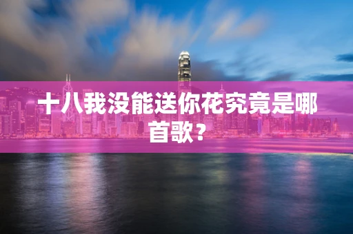 十八我没能送你花究竟是哪首歌？