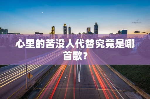 心里的苦没人代替究竟是哪首歌？