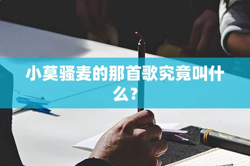 小莫骚麦的那首歌究竟叫什么？