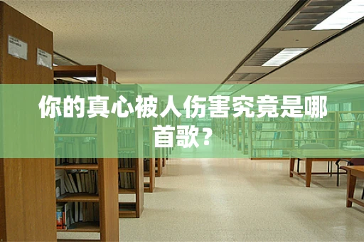 你的真心被人伤害究竟是哪首歌？
