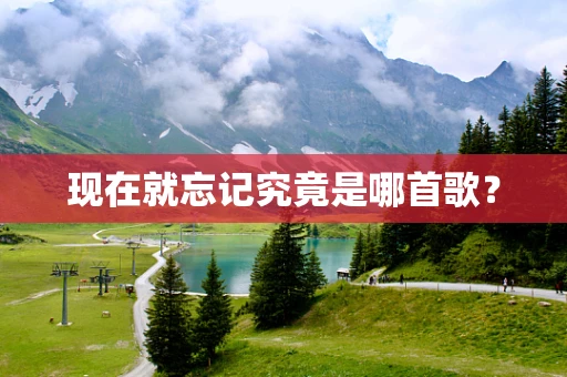 现在就忘记究竟是哪首歌？