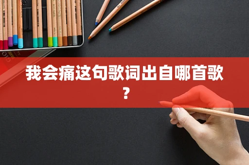 我会痛这句歌词出自哪首歌？