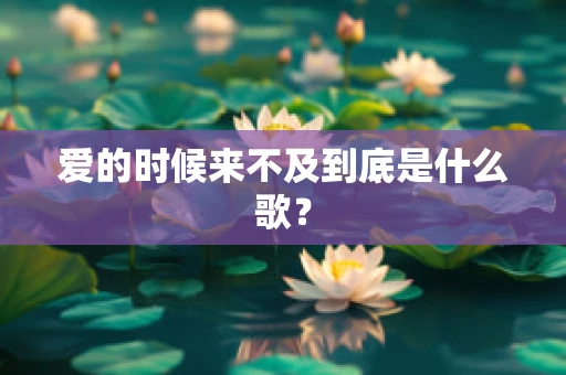 爱的时候来不及到底是什么歌？