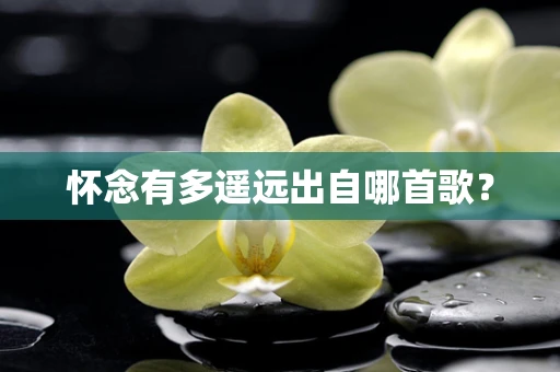怀念有多遥远出自哪首歌？