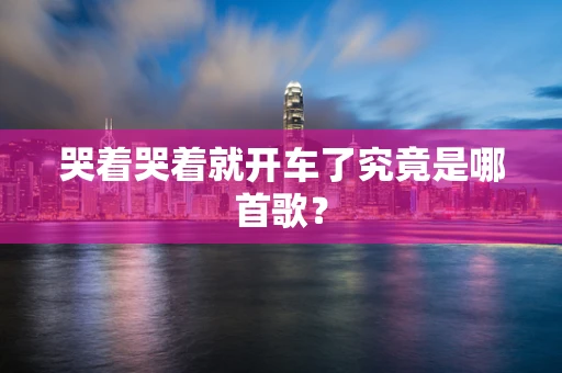 哭着哭着就开车了究竟是哪首歌？