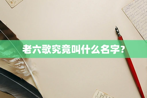 老六歌究竟叫什么名字？