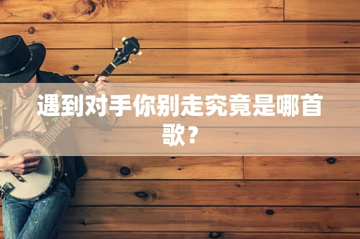 遇到对手你别走究竟是哪首歌？