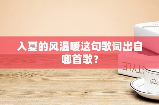 入夏的风温暖这句歌词出自哪首歌？