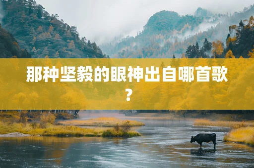 那种坚毅的眼神出自哪首歌？