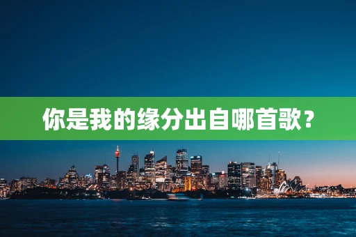 你是我的缘分出自哪首歌？