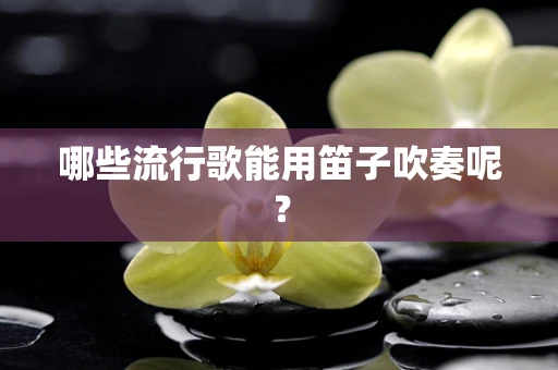 哪些流行歌能用笛子吹奏呢？