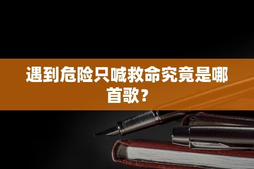 遇到危险只喊救命究竟是哪首歌？