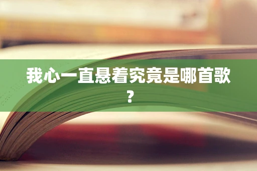 我心一直悬着究竟是哪首歌？