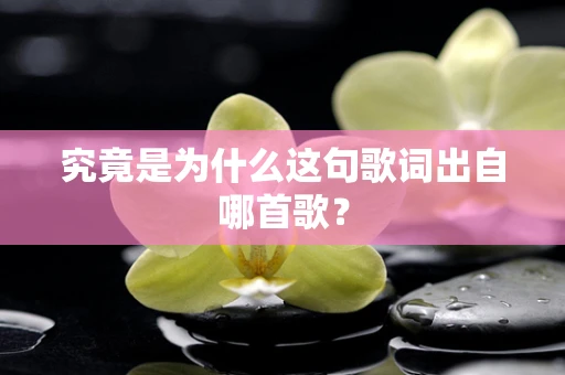 究竟是为什么这句歌词出自哪首歌？