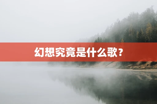 幻想究竟是什么歌？