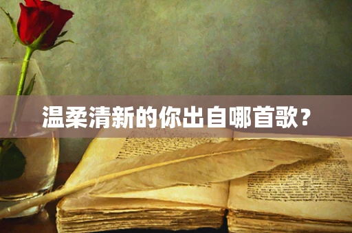温柔清新的你出自哪首歌？