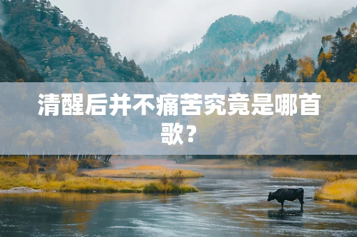 清醒后并不痛苦究竟是哪首歌？