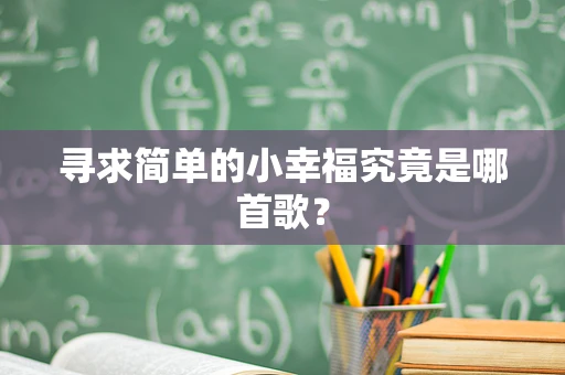 寻求简单的小幸福究竟是哪首歌？