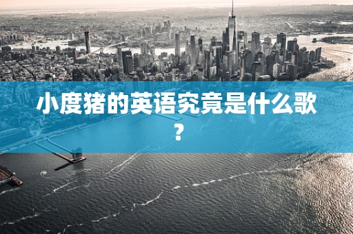 小度猪的英语究竟是什么歌？