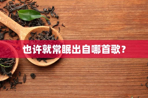也许就常眠出自哪首歌？