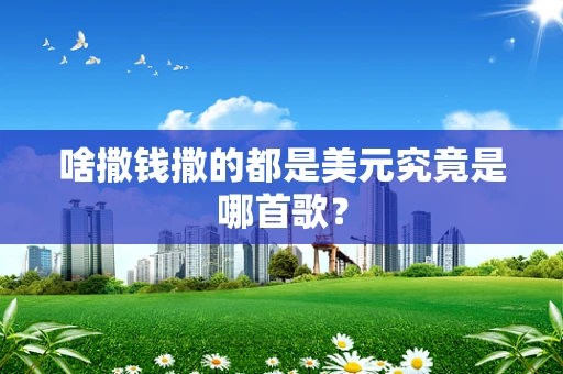 啥撒钱撒的都是美元究竟是哪首歌？