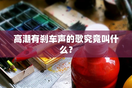 高潮有刹车声的歌究竟叫什么？