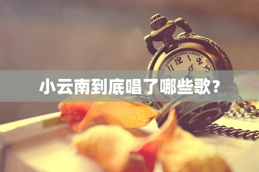小云南到底唱了哪些歌？