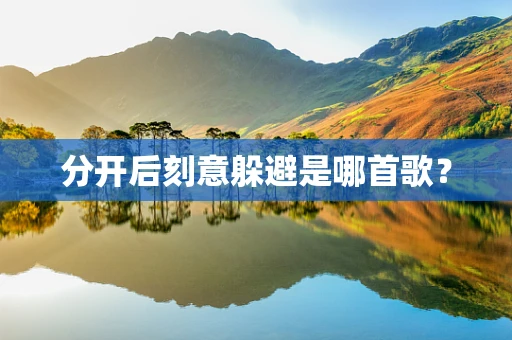 分开后刻意躲避是哪首歌？