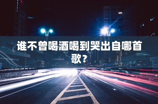 谁不曾喝酒喝到哭出自哪首歌？