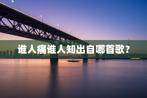 谁人痛谁人知出自哪首歌？