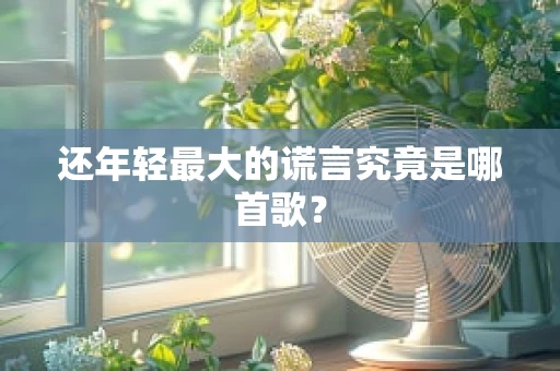 还年轻最大的谎言究竟是哪首歌？