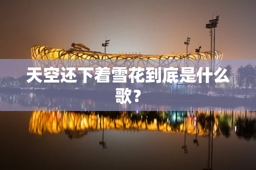 天空还下着雪花到底是什么歌？