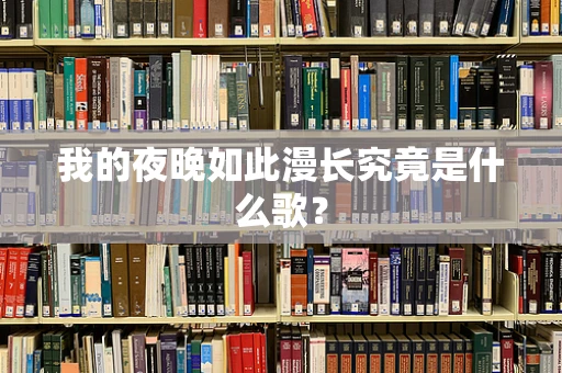 我的夜晚如此漫长究竟是什么歌？