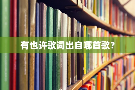 有也许歌词出自哪首歌？
