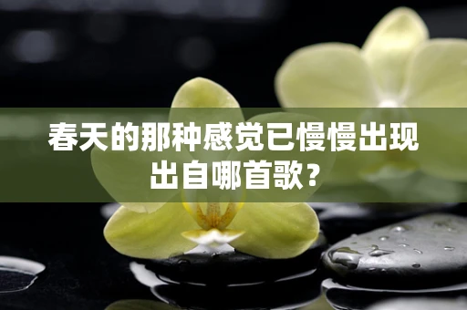 春天的那种感觉已慢慢出现出自哪首歌？
