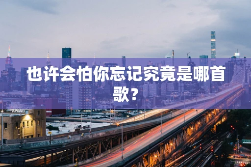 也许会怕你忘记究竟是哪首歌？