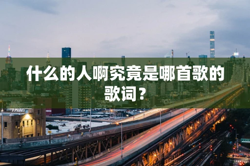 什么的人啊究竟是哪首歌的歌词？
