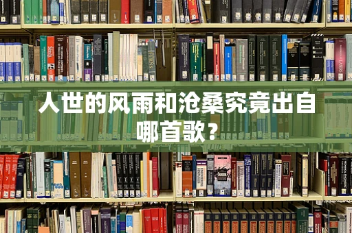 人世的风雨和沧桑究竟出自哪首歌？