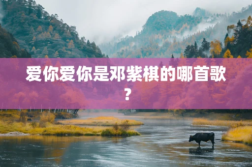 爱你爱你是邓紫棋的哪首歌？