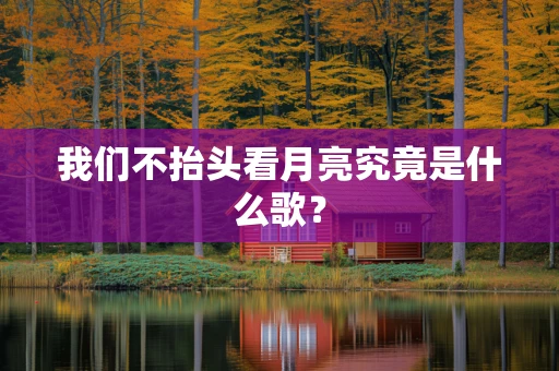 我们不抬头看月亮究竟是什么歌？