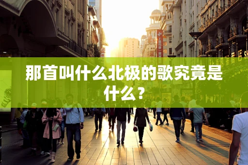 那首叫什么北极的歌究竟是什么？