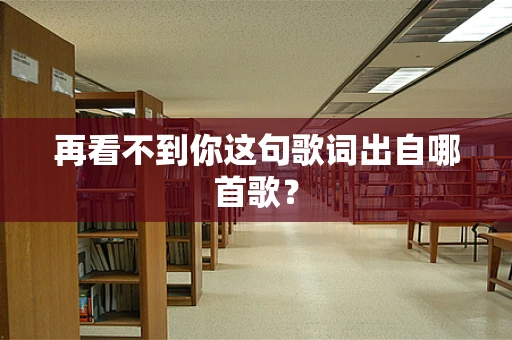 再看不到你这句歌词出自哪首歌？