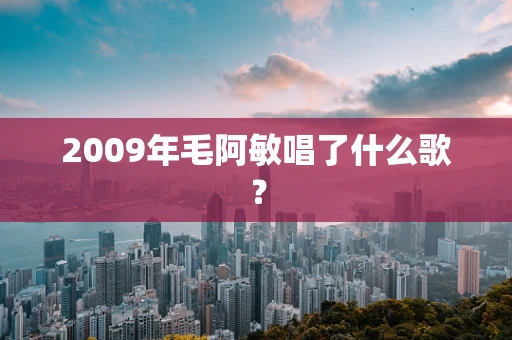 2009年毛阿敏唱了什么歌？