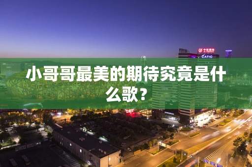 小哥哥最美的期待究竟是什么歌？