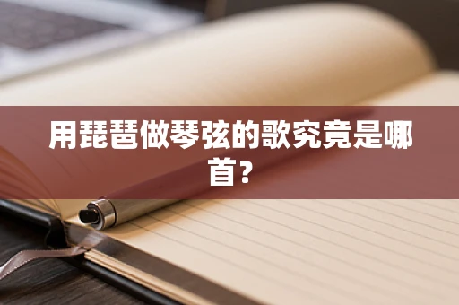 用琵琶做琴弦的歌究竟是哪首？
