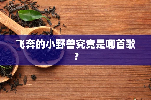 飞奔的小野兽究竟是哪首歌？