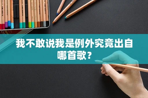 我不敢说我是例外究竟出自哪首歌？