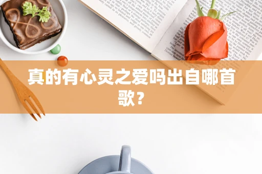 真的有心灵之爱吗出自哪首歌？