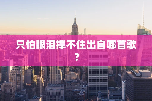 只怕眼泪撑不住出自哪首歌？